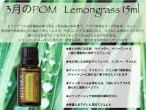 lemongrass　レモングラス